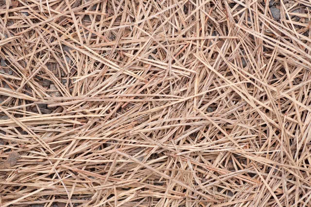 Roofing California